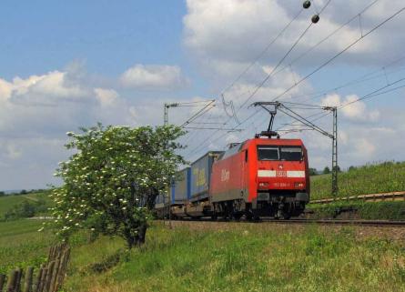 13.05.2011 bei Erbach (Rheingau)