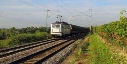 06.10.2010 bei Erbach (Rheingau)