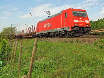 02.09.2011 bei Erbach (Rheingau)