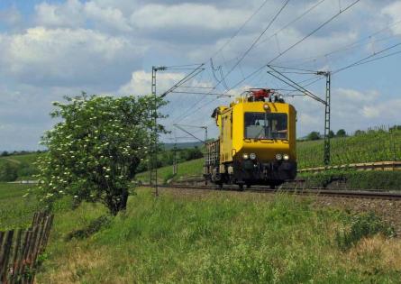 13.05.2011 bei Erbach (Rheingau)